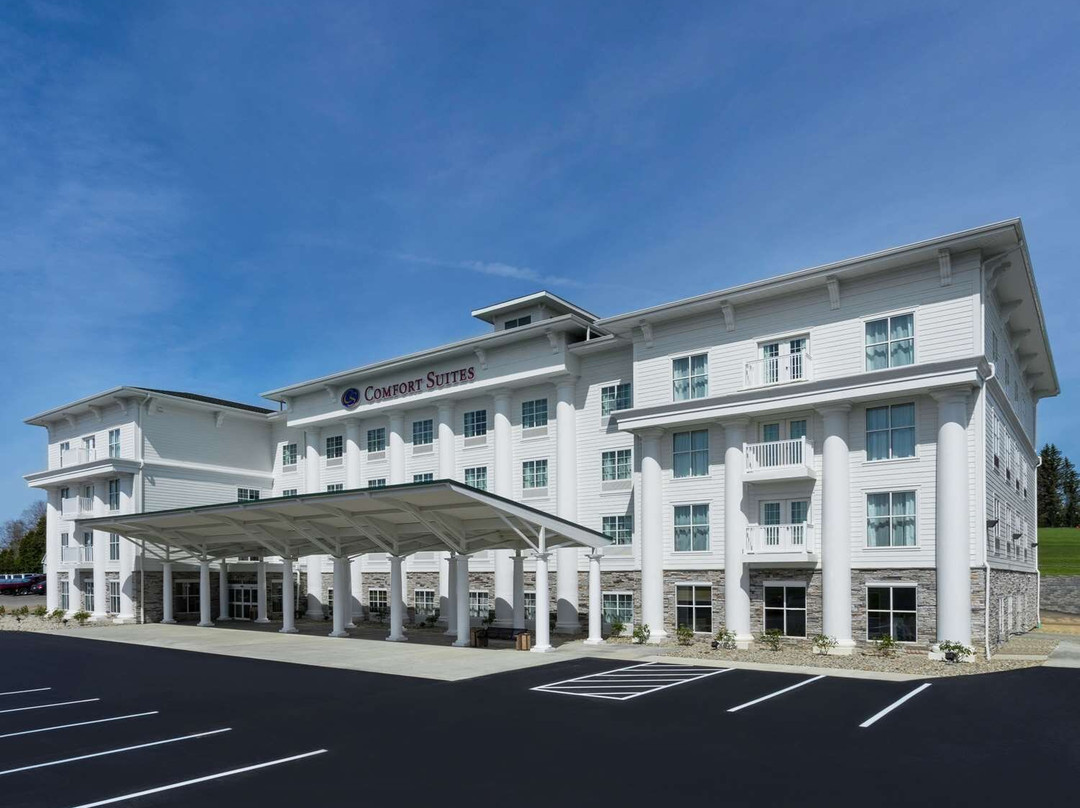 Brockway酒店住宿-Comfort Suites DuBois
