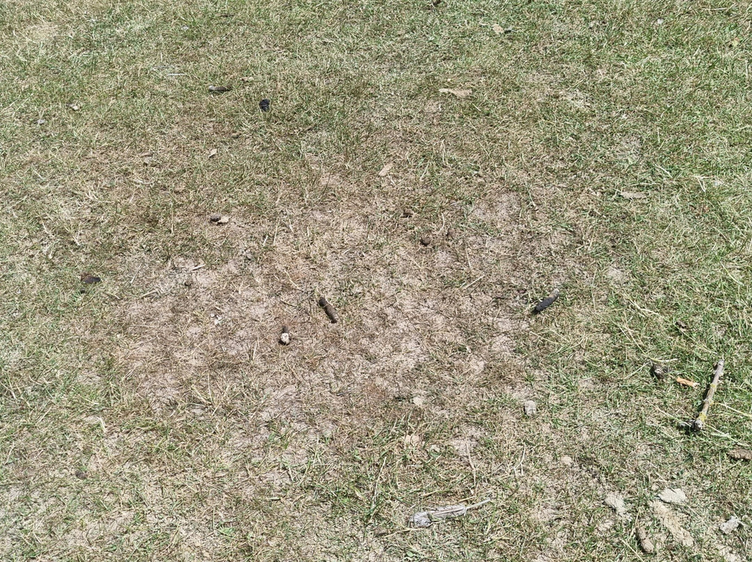 Naturbadesee Stockelache-Borken必去景点