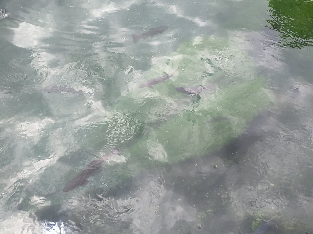 La Peschiera-Santa Fiora必去景点