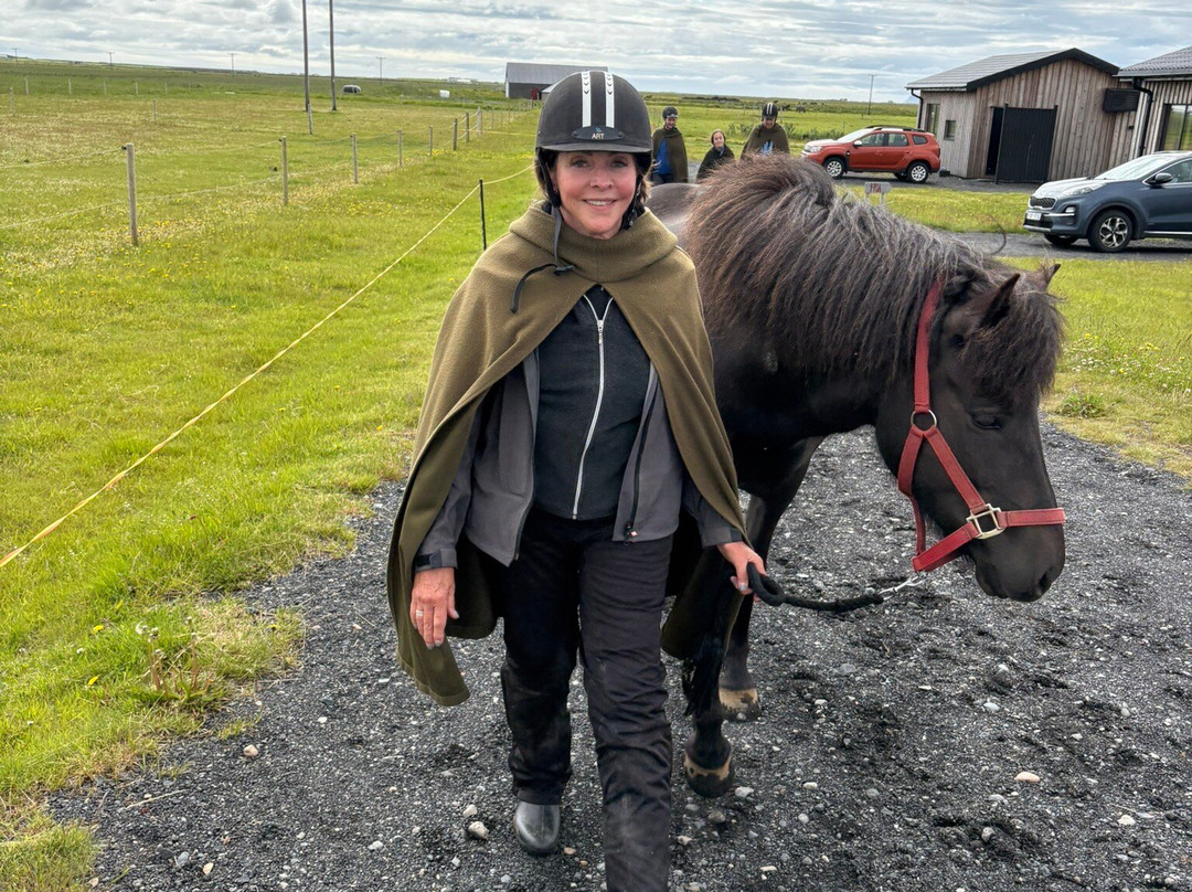 Mr. Iceland-莫斯费德斯拜尔必去景点