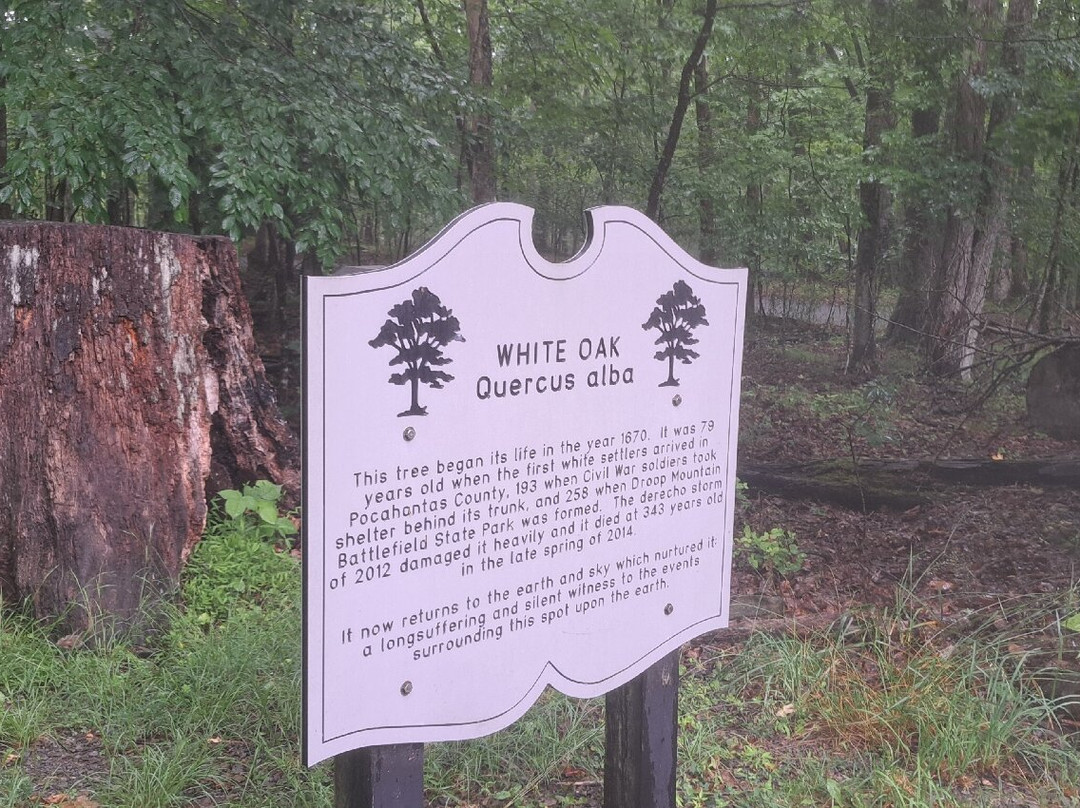 Droop Mountain Battlefield State Park-Hillsboro必去景点