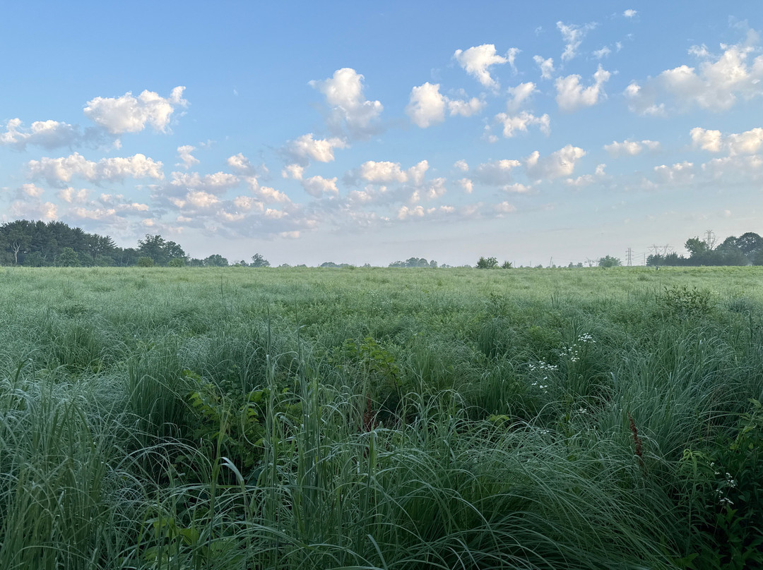 Negri-Napote Native Grassland Preserve-萨默塞特必去景点
