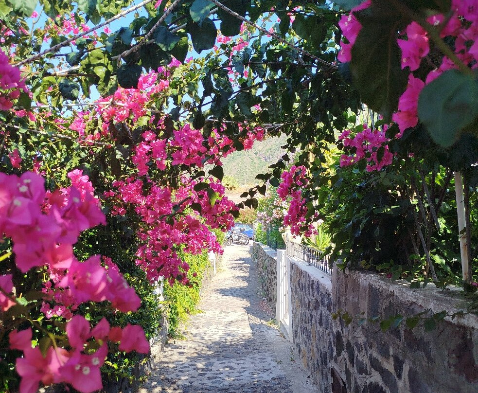 Spiaggia dello Scario-Malfa必去景点