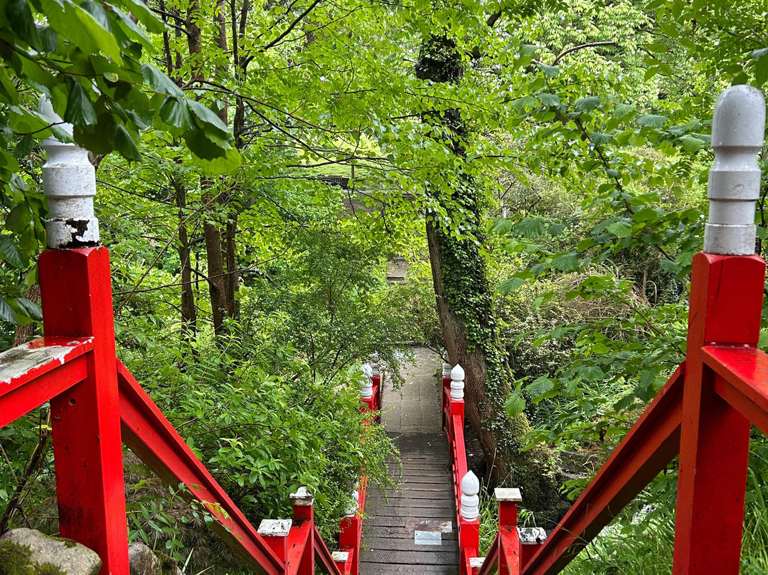 Clyne Gardens-斯温西必去景点