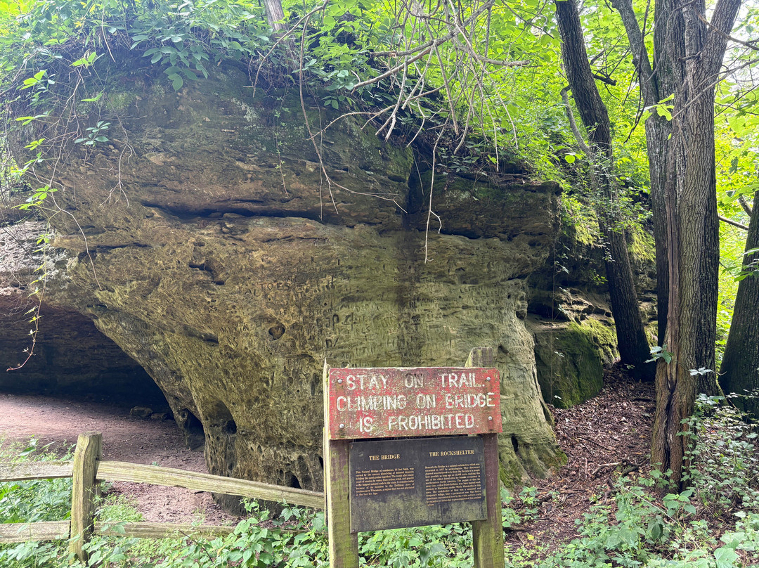 Natural Bridge State Park-Leland必去景点
