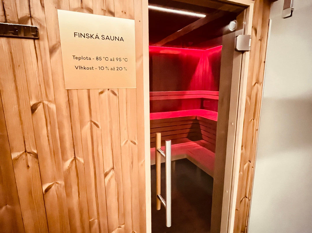 Hotel Ryzlink主图