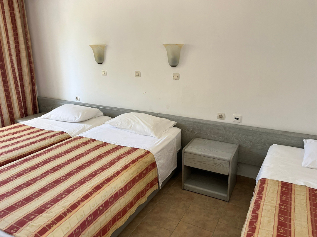 Fourtounis Hotel主图