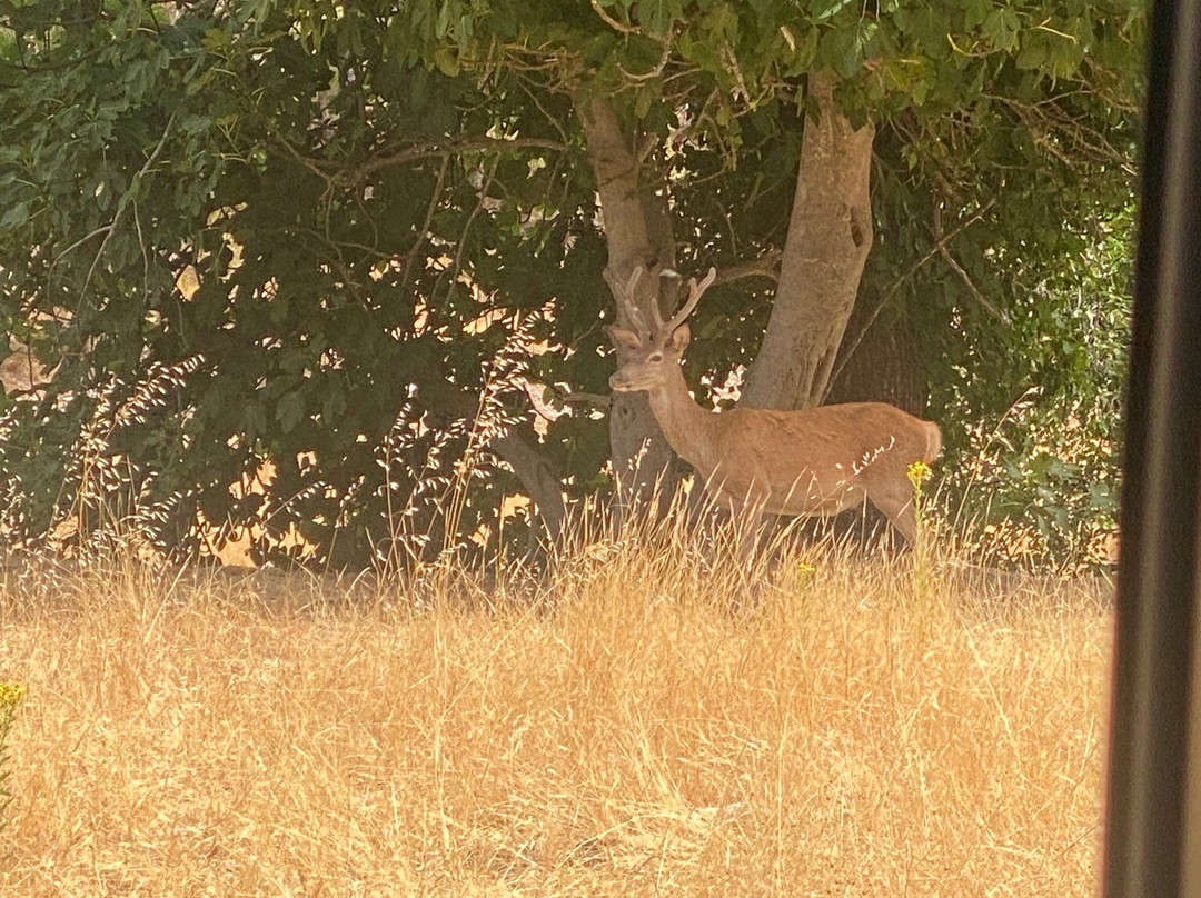 Birding Naturaleza-Plasencia必去景点