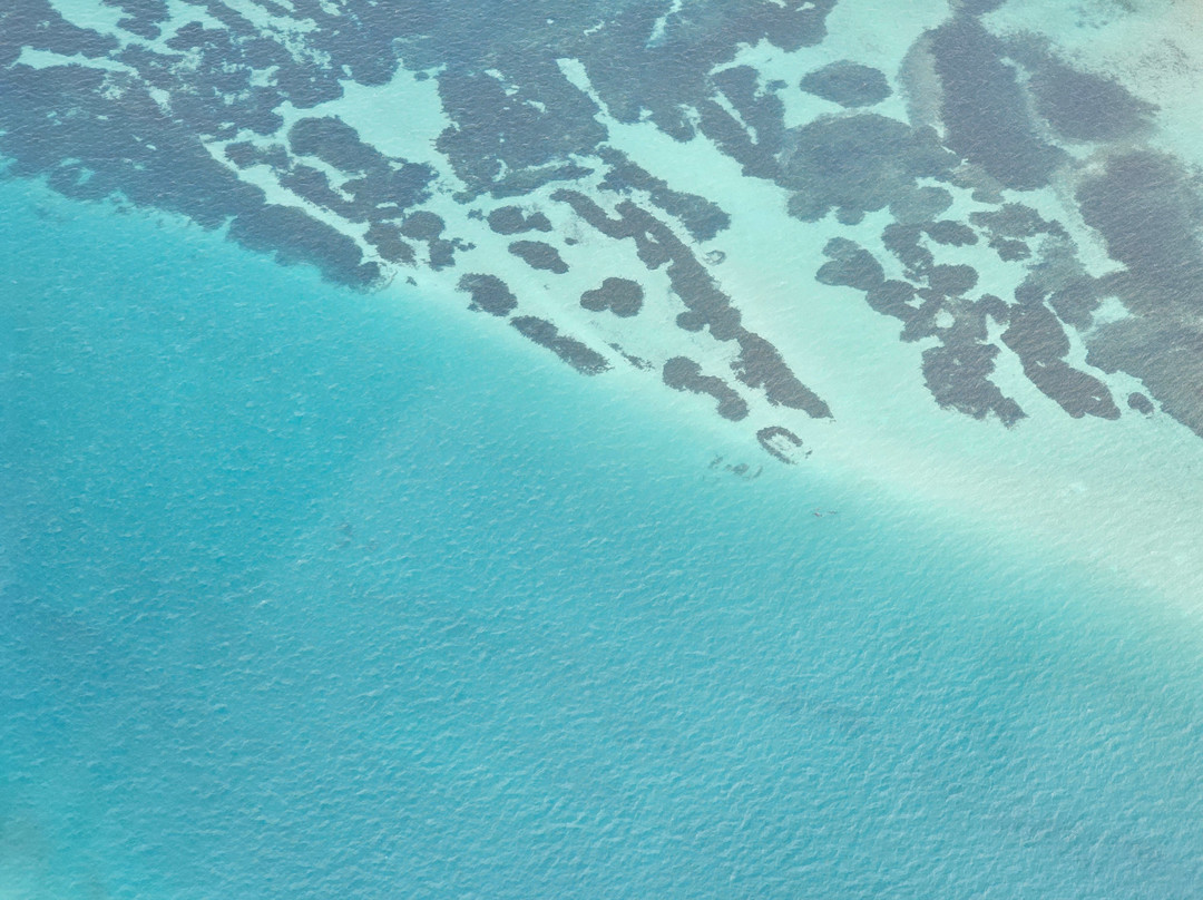 Shark Bay Aviation-德纳姆必去景点