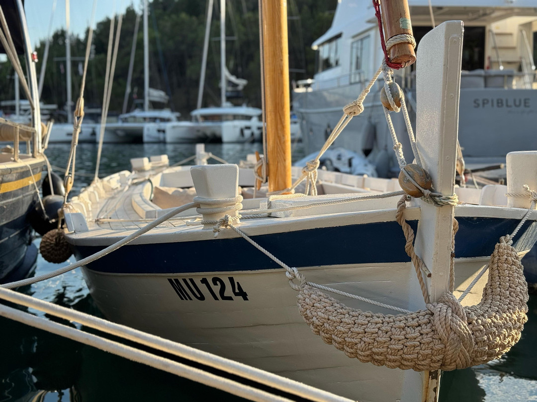 Sailing & Wine Experience-斯克拉丁必去景点