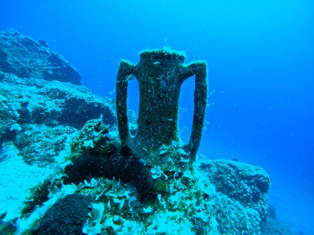 Salt Water Divers-埃尔穆波利必去景点