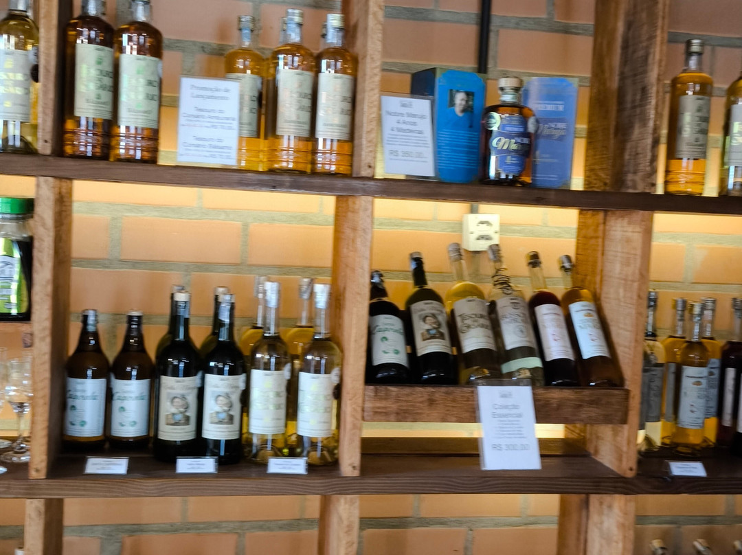 Ranch Santa Fe-Sao Francisco do Sul必去景点