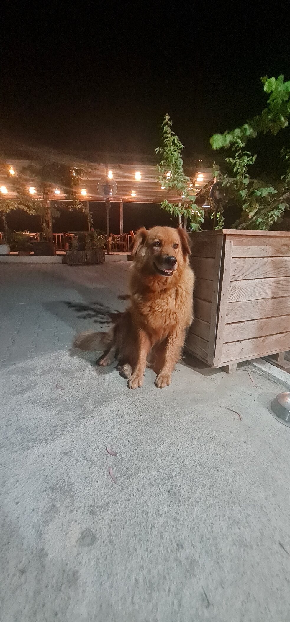 Deniz Kizi Hotel-官方