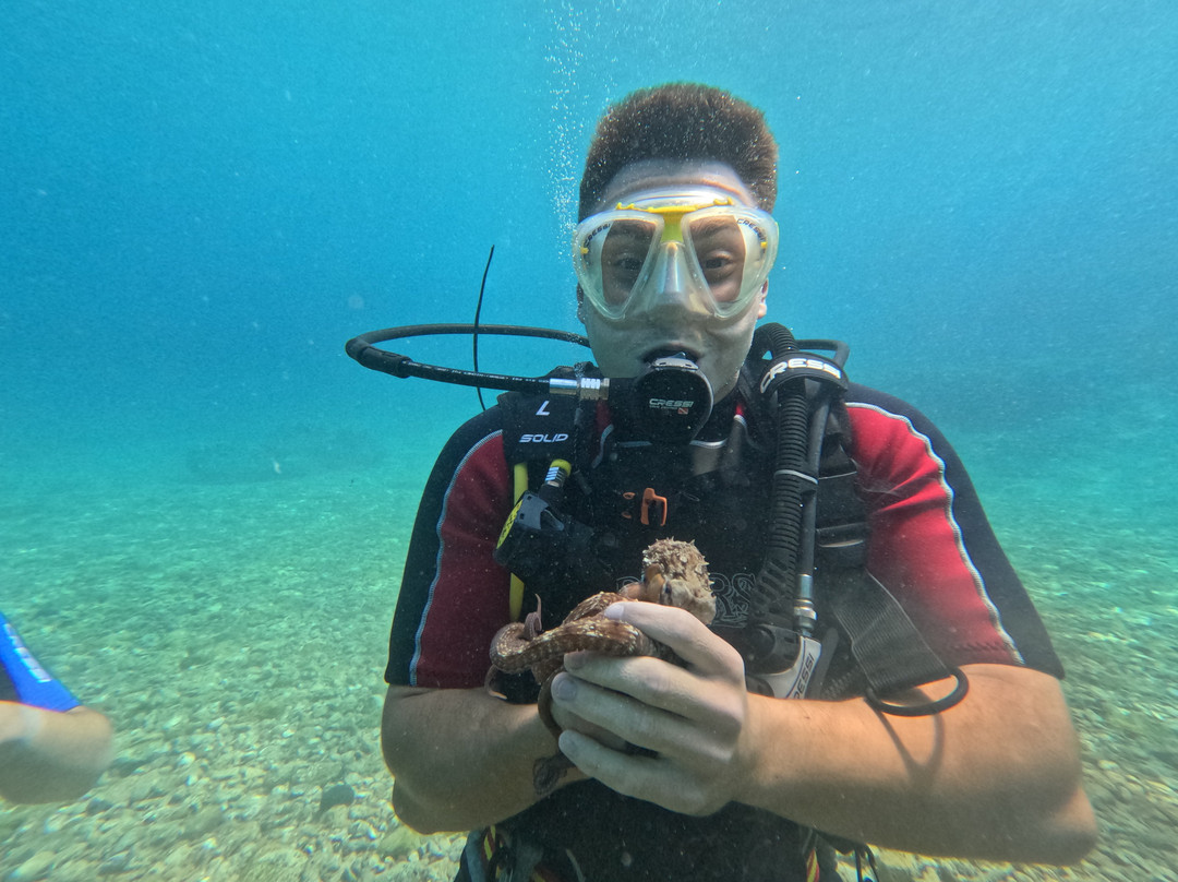 Porto Heli Scuba Club-Porto Heli必去景点
