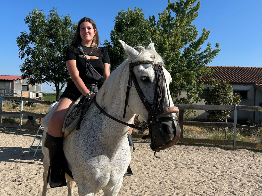 Caballos de la Ribera-Huerta必去景点