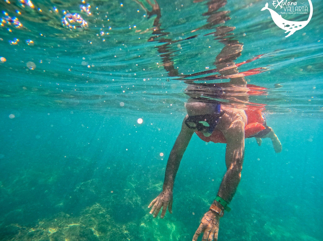 Explora Vallarta-瓦拉塔港必去景点