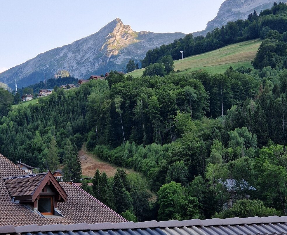 Auberge du Fraizier主图