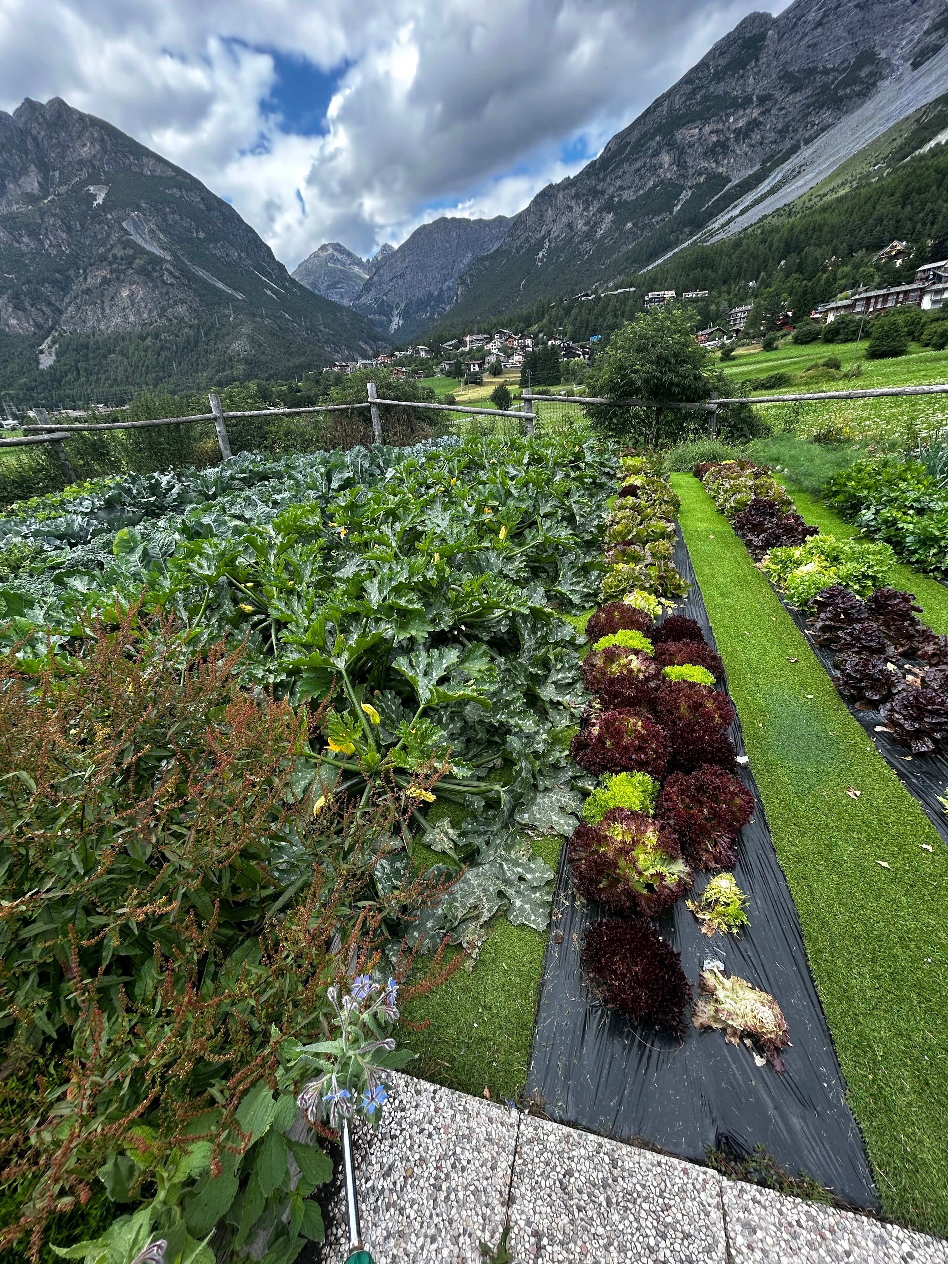 Agriturismo San Gallo-官方