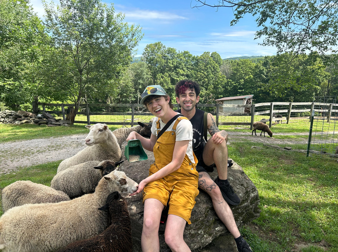 Bethel Pastures Farms Bed & Breakfast主图