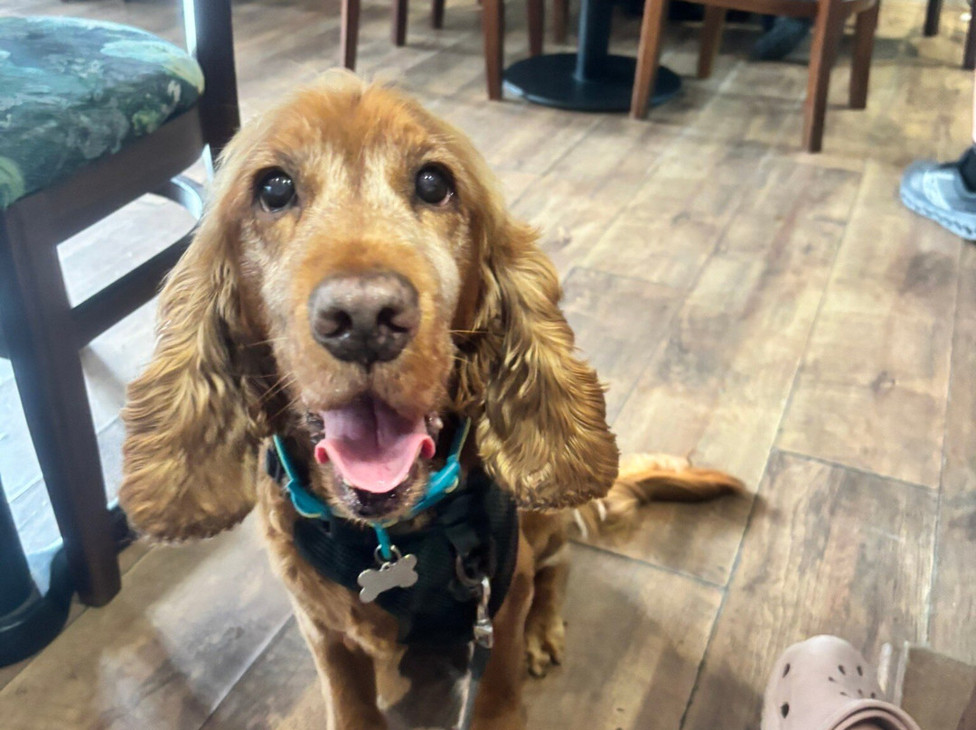 The Crafty Tavern-Little Sutton必去景点