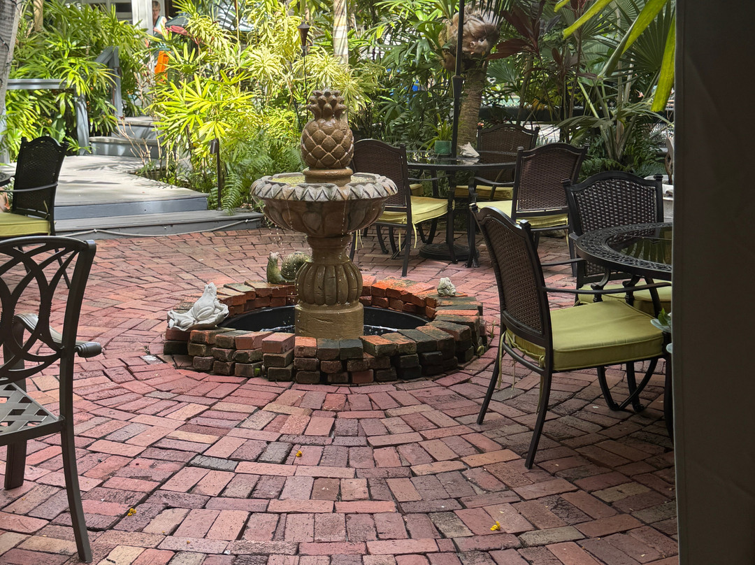 The Mermaid & The Alligator主图