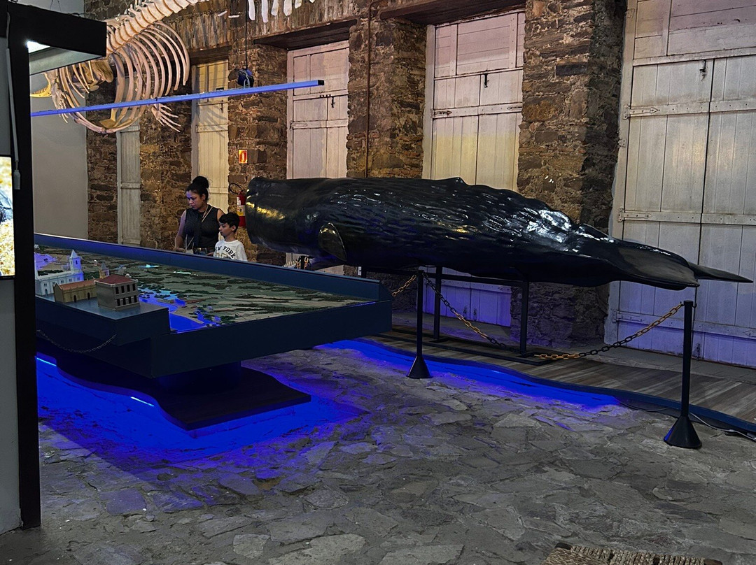 Museu Do Mar Delta Do Phb-Parnaiba必去景点