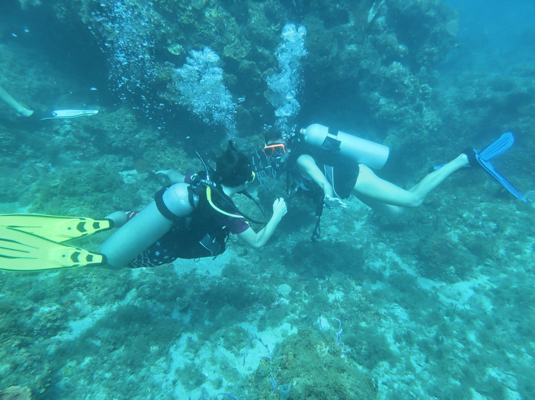 JJ Divers St Thomas-夏洛特阿马利亚必去景点