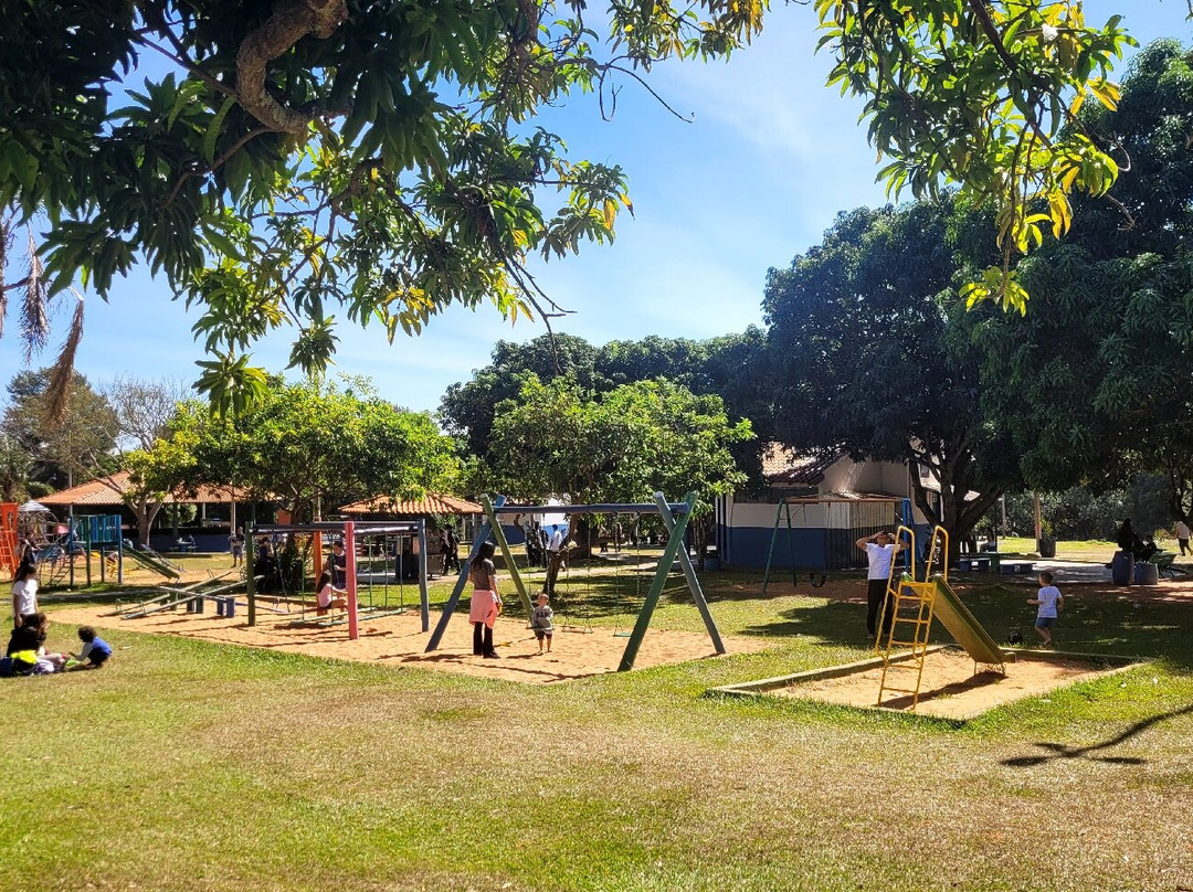 Parque do Sabiá-乌贝兰迪亚必去景点