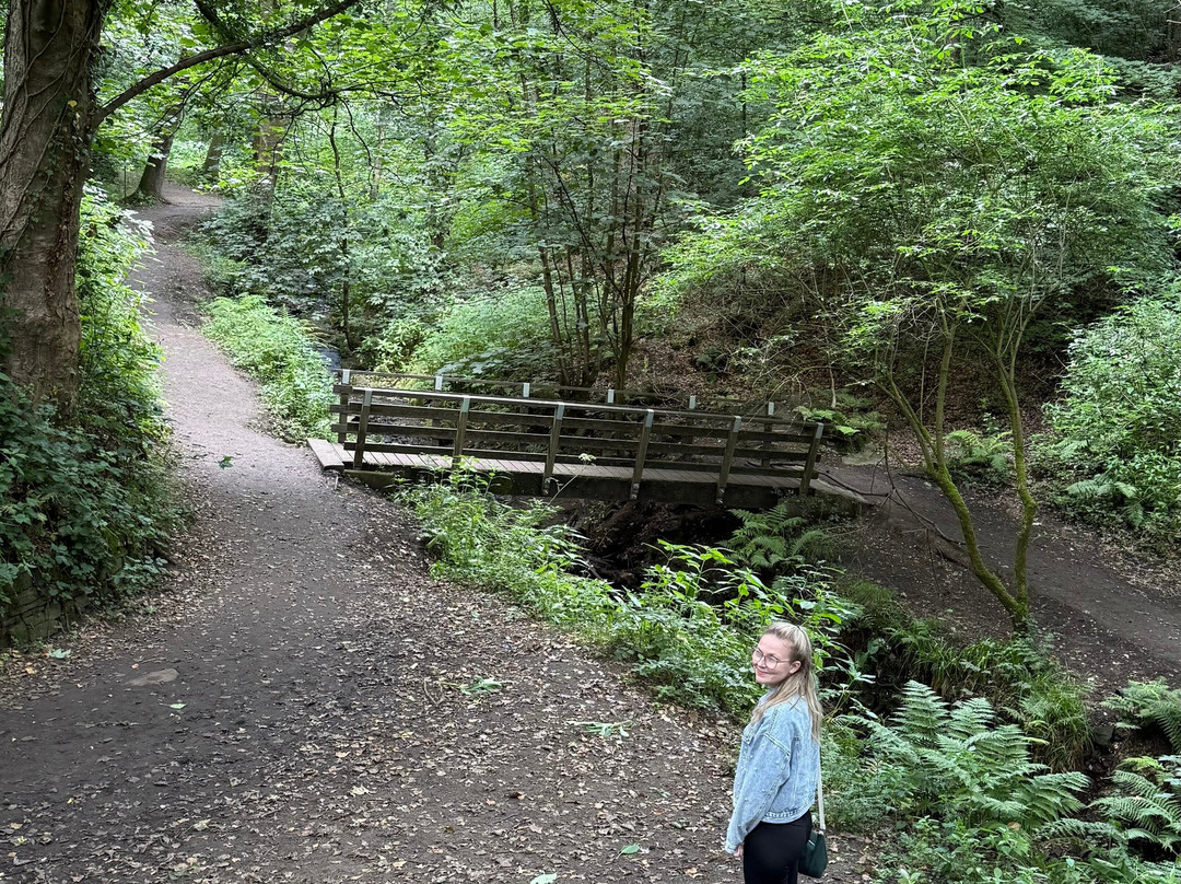Fairy Glen-Appley Bridge必去景点