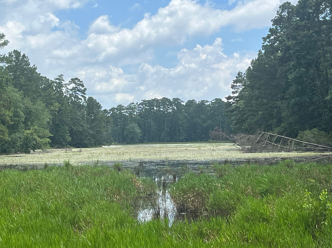 Double Lake Recreation Area-Coldspring必去景点