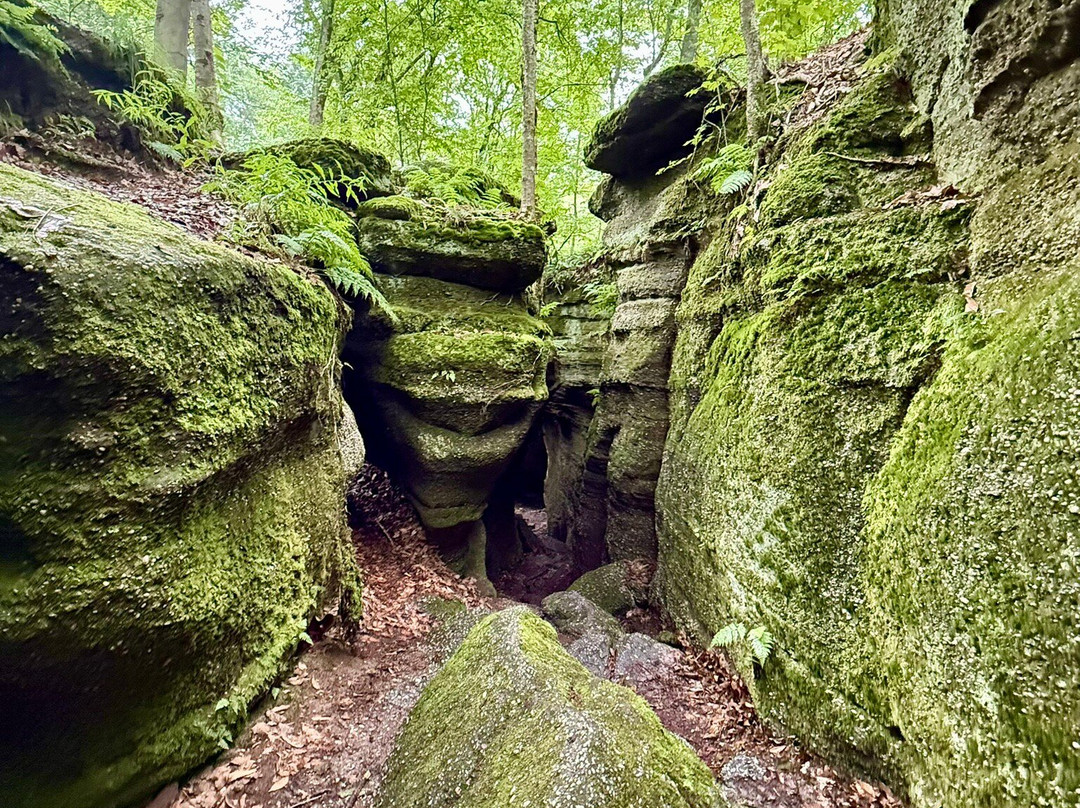 Nelson-Kennedy Ledges State Park-Nelson必去景点