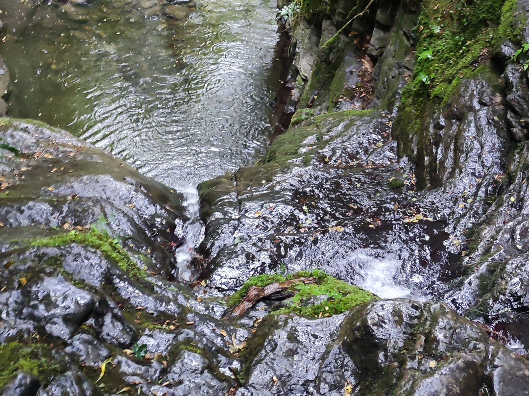 Cairn Expe-尼斯必去景点