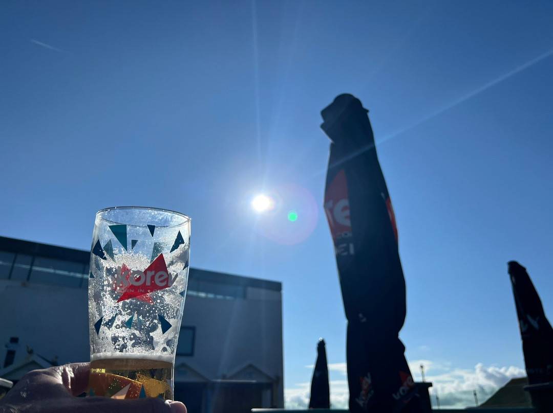 The Guillemot, Westward Ho!