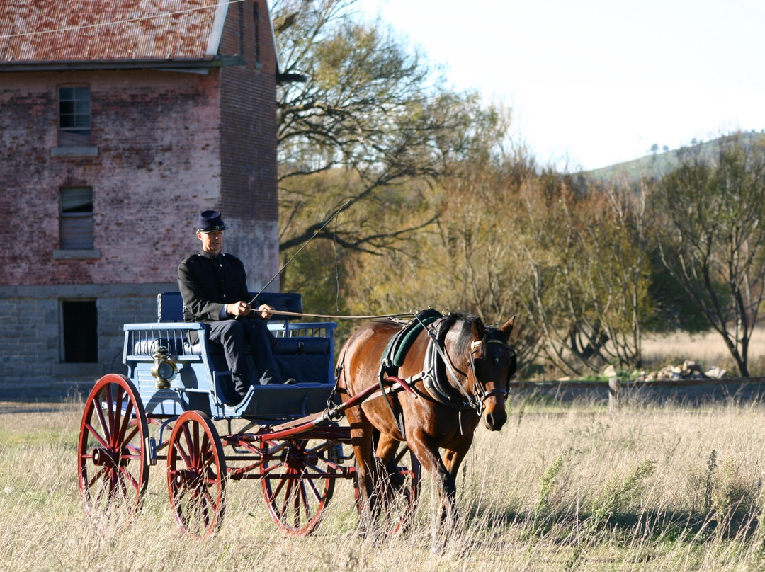 Braidwood Museum-Braidwood必去景点