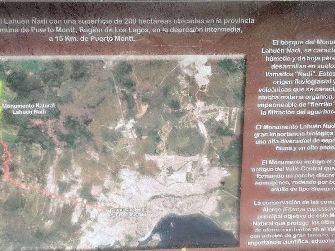 Monumento Natural Lahuen Nadi-蒙特港必去景点