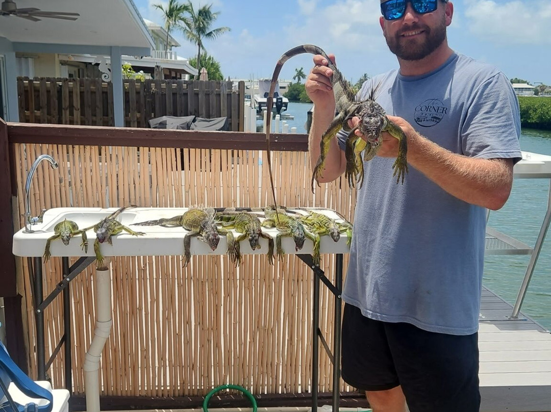 Invasive EnVogue-Ramrod Key必去景点