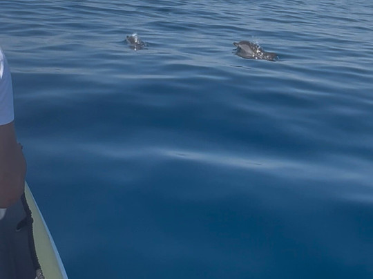Taras Sub - Diving Center-塔兰托必去景点