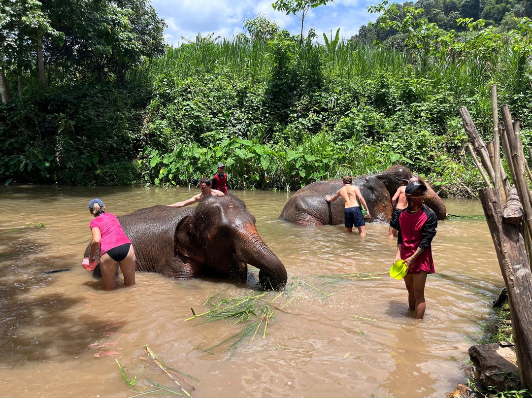 Mike's Authentic Trekking-清迈必去景点
