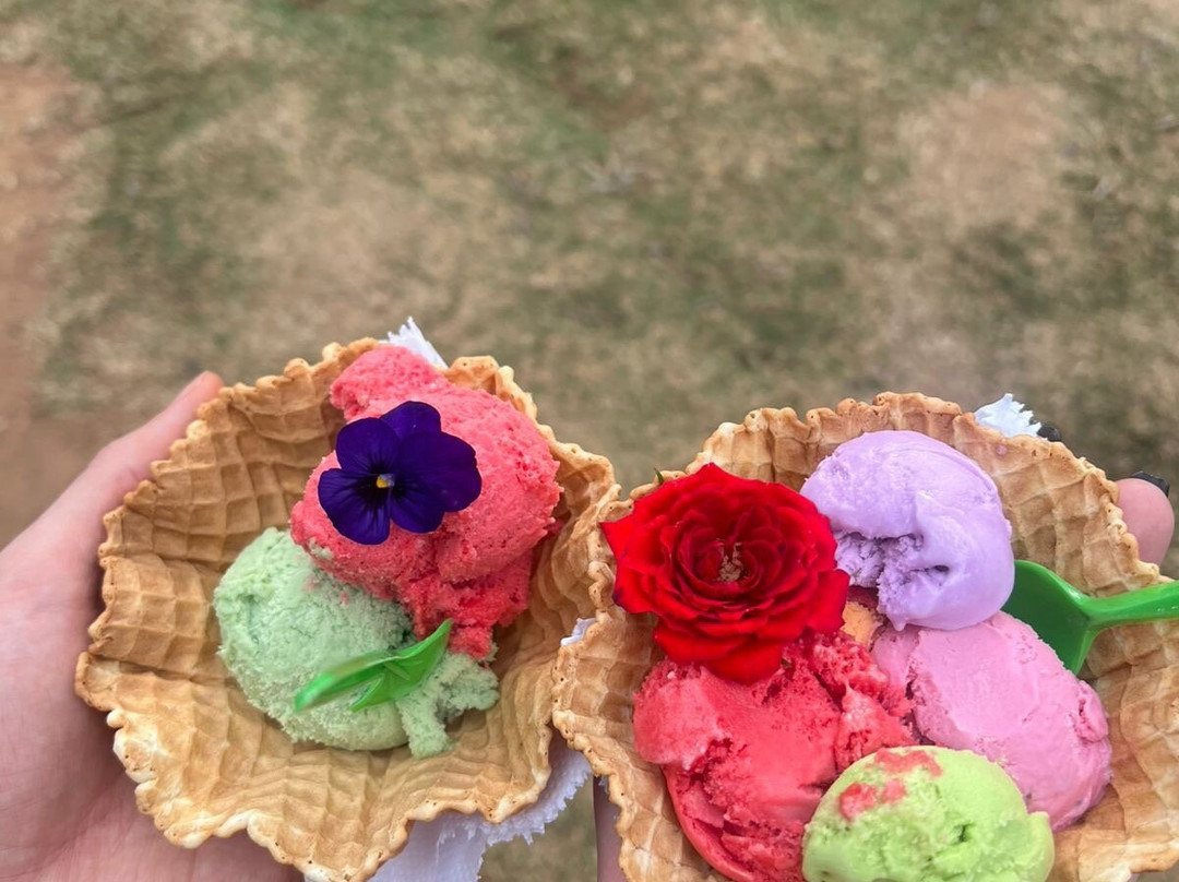 Parque Van Gogh-Holambra必去景点