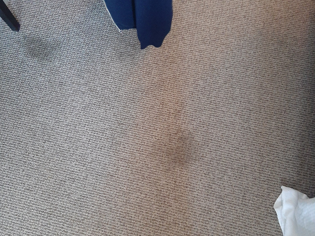 金色郁金香酒店主图