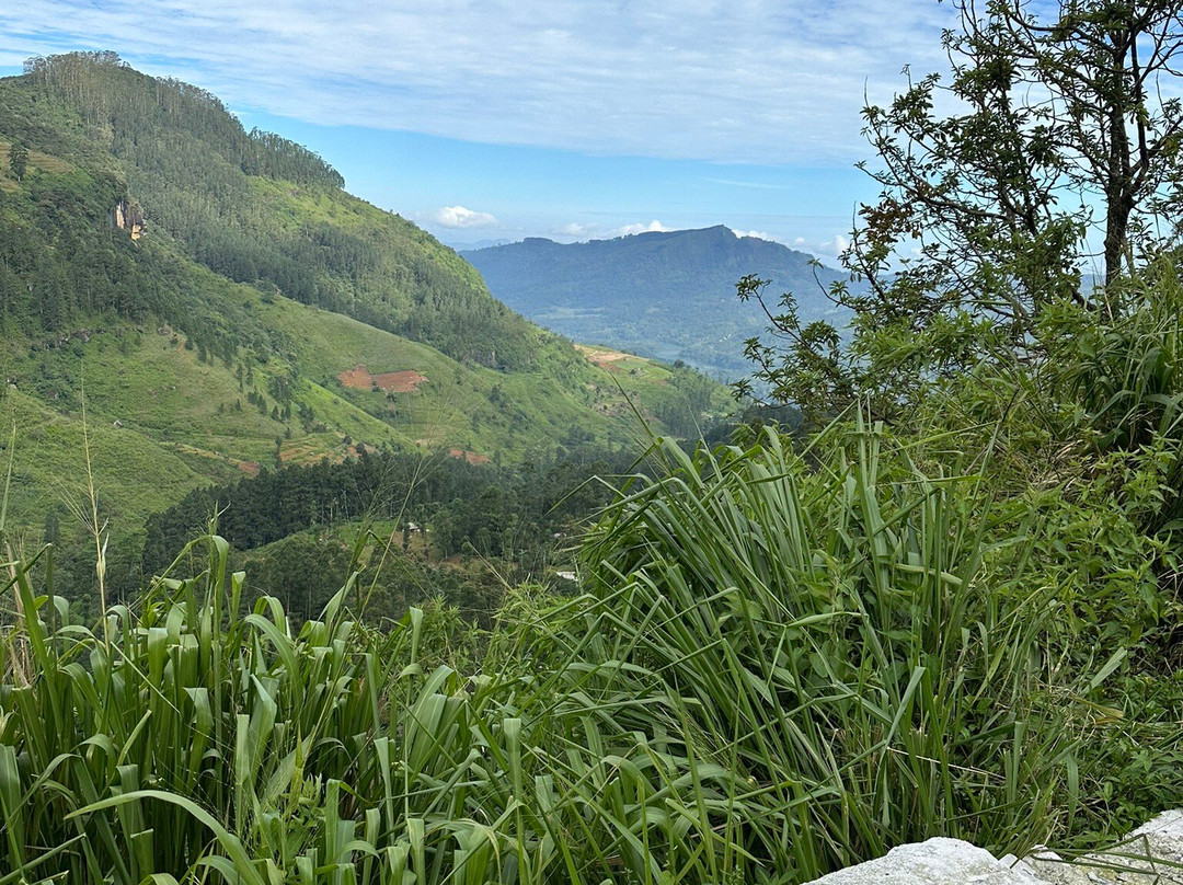 Harish Hari Tours-奴娃拉伊利雅必去景点