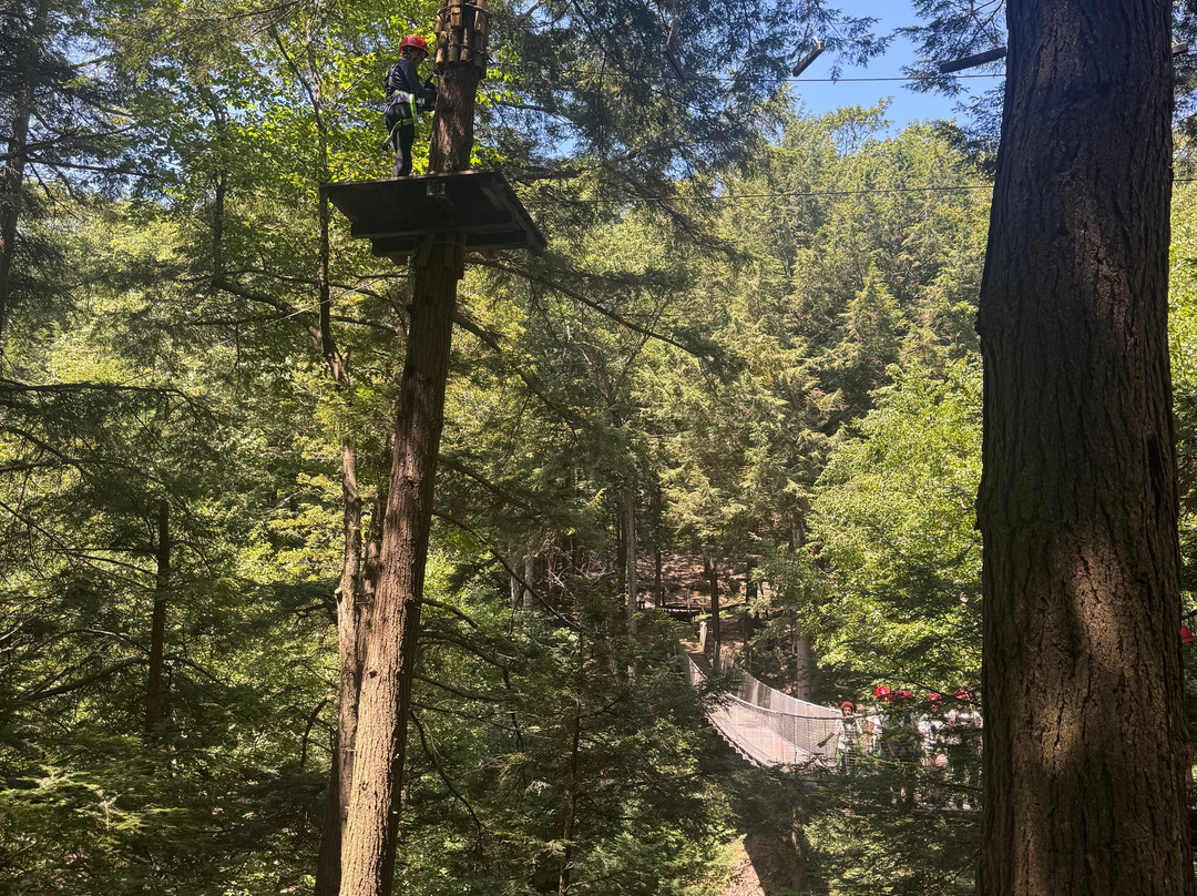 Ramblewild-Lanesborough必去景点