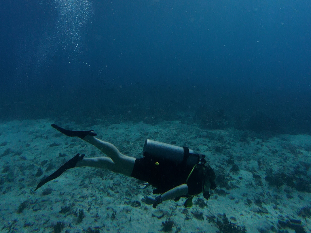 Gili Island Diving Center-Gili Air必去景点
