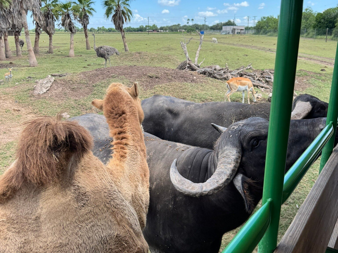 Fragile Planet Wildlife Park-Los Fresnos必去景点
