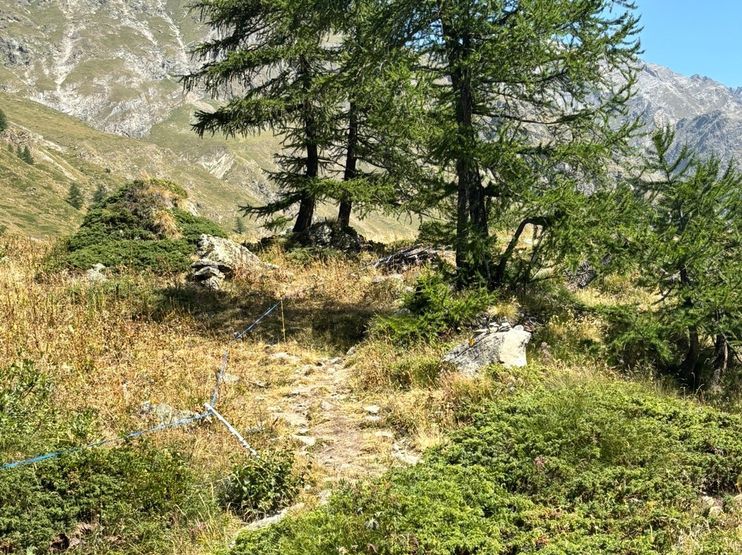 Lago di Place-Moulin-Bionaz必去景点