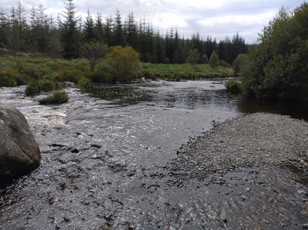 The Raiders Road Forest Drive-邓弗里斯-加洛韦必去景点
