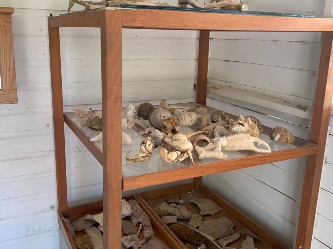 Santuario Mamíferos Marinos De Estero Hondo-Estero Hondo必去景点