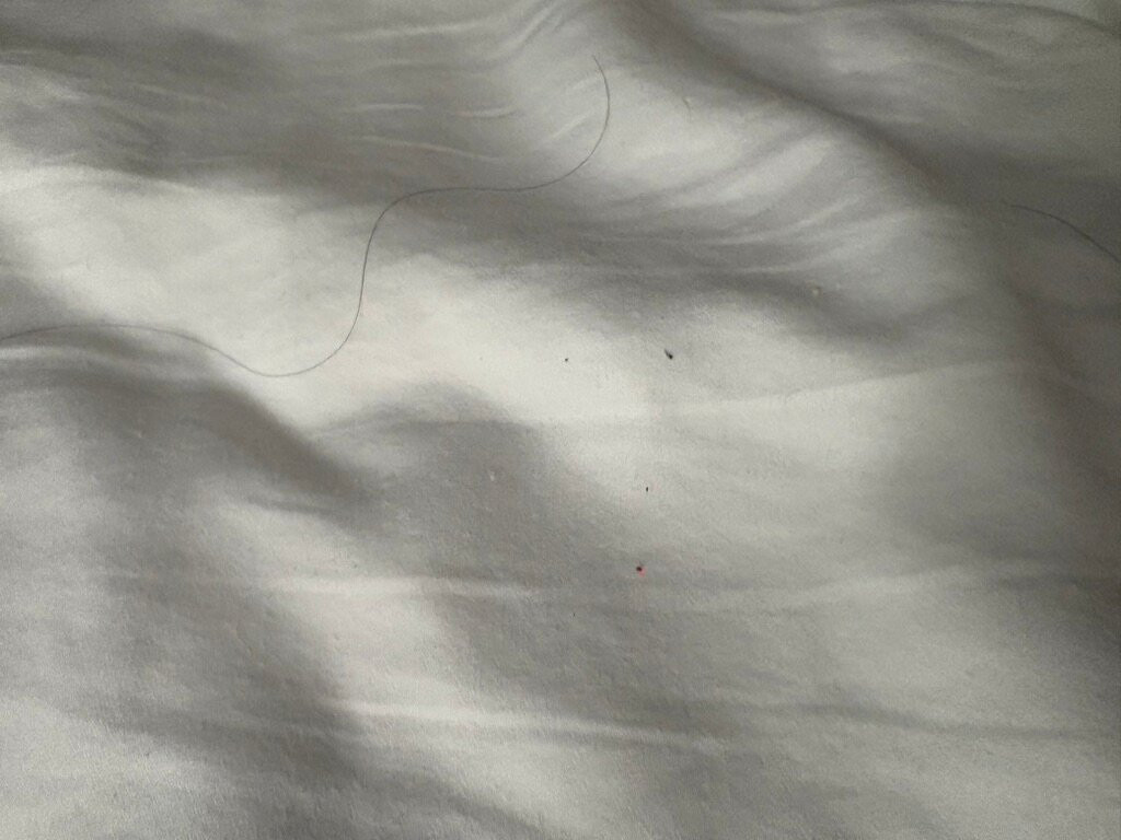 Super 8 by Wyndham Bedford主图