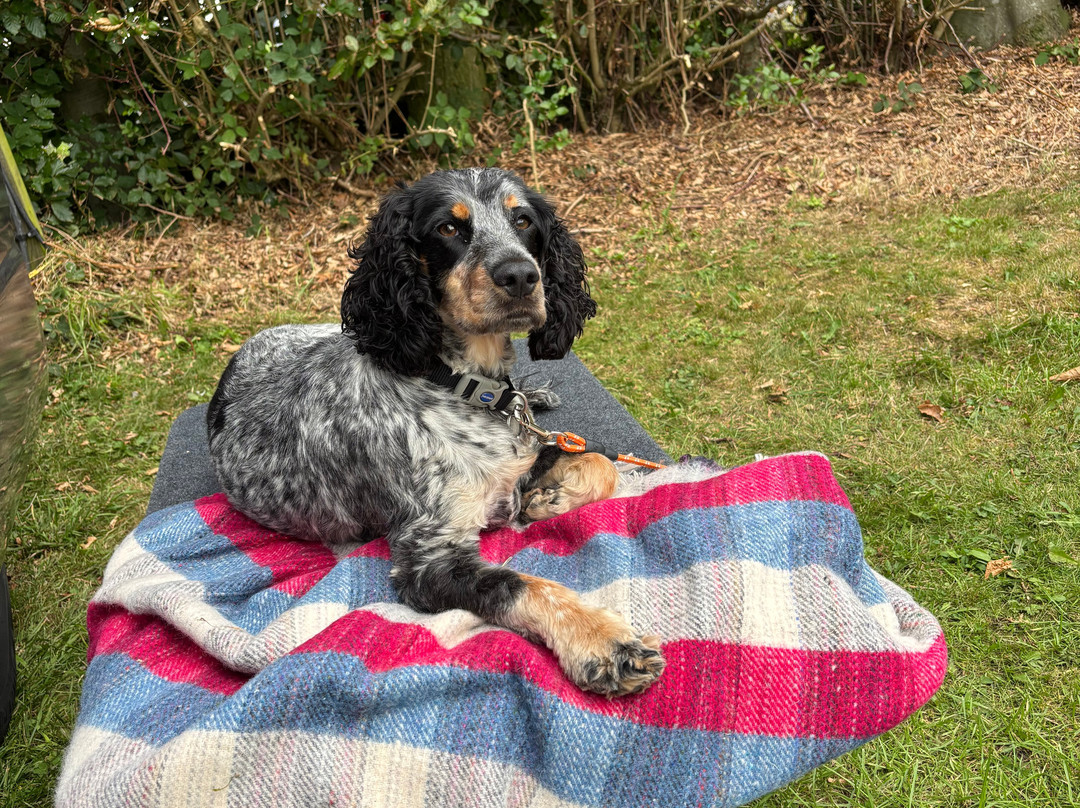 Hollingworth Lake-洛奇代尔必去景点