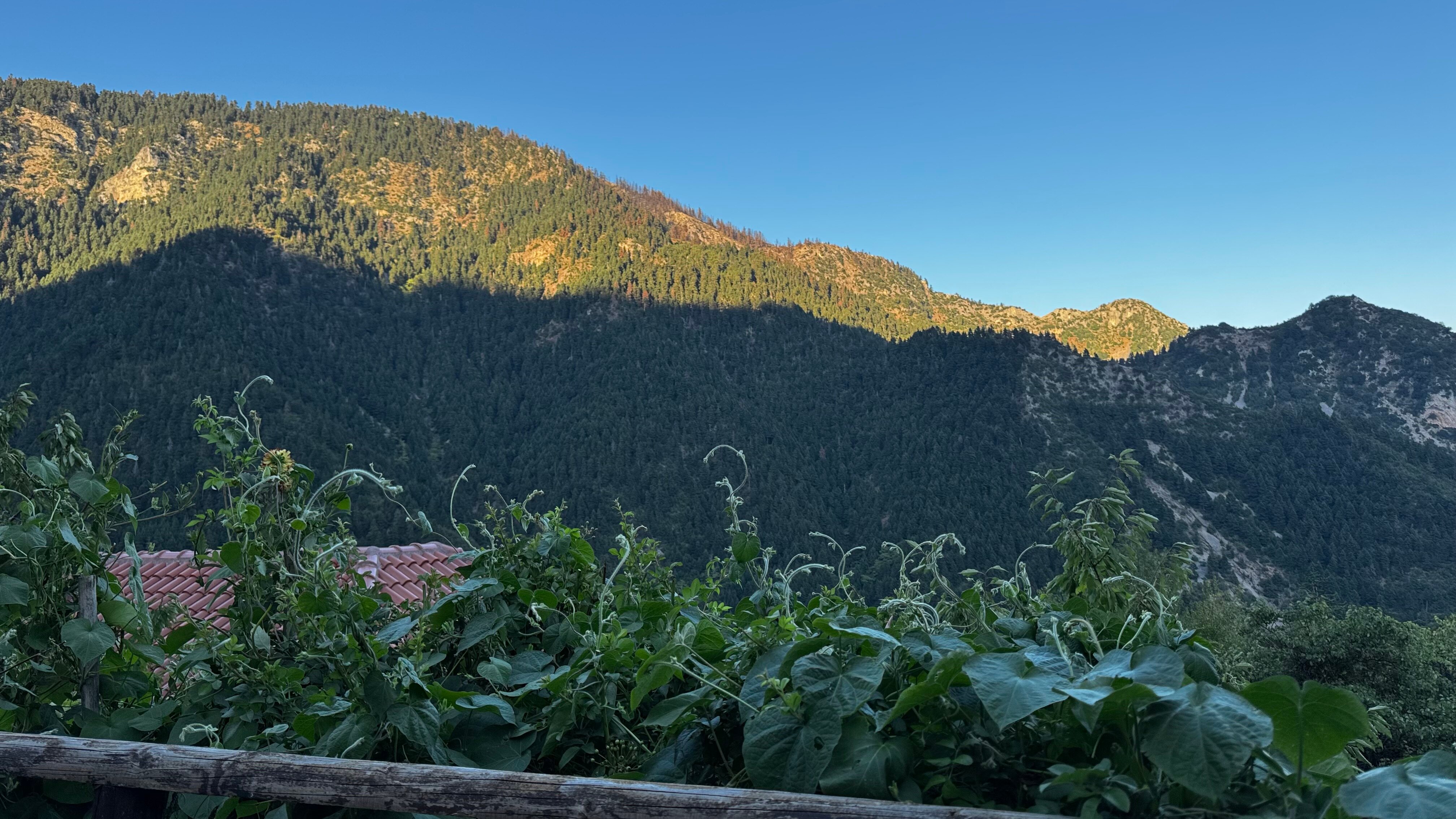 Dryades Guesthouse-官方